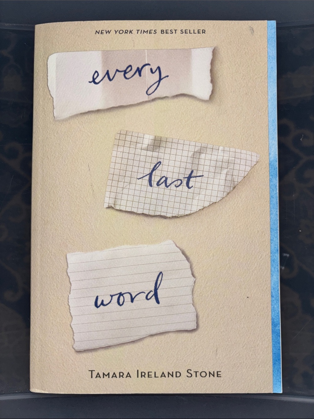 Every Last Word by Tamara Ireland Stone - Softcover Book